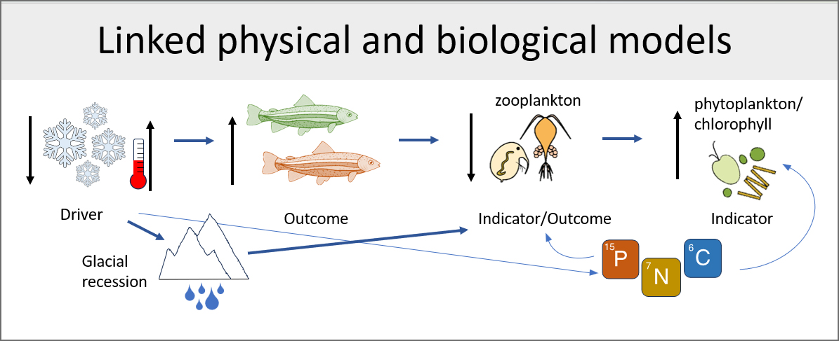 linked models