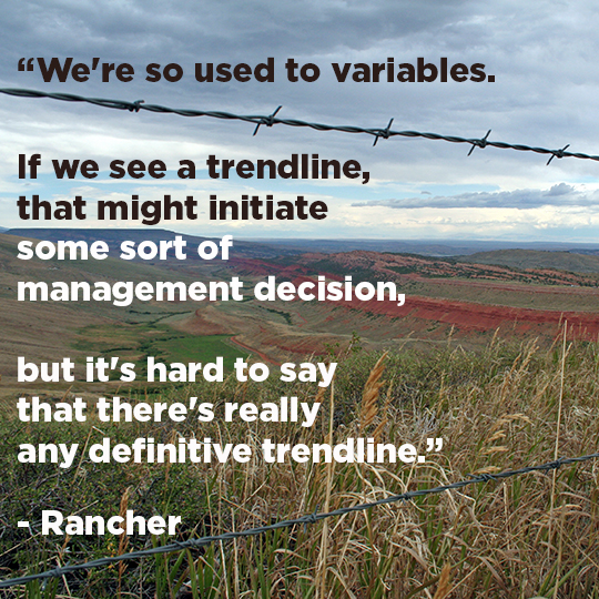 “It's large public lands in conjunction with the large holdings of private lands that really make Wyoming special with what it does for our wildlife ... it’s falling apart. It's falling like dominoes” – Rancher 