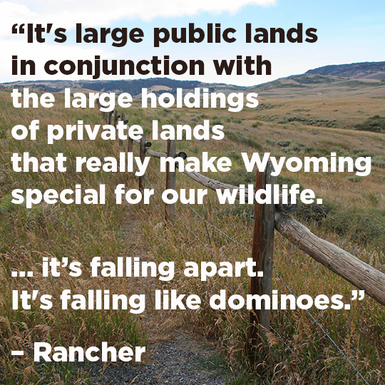 “We're so used to variables. If we see a trend line that might initiate some sort of management decision, but it's hard to say that there's really any definitive trendline.” - Rancher