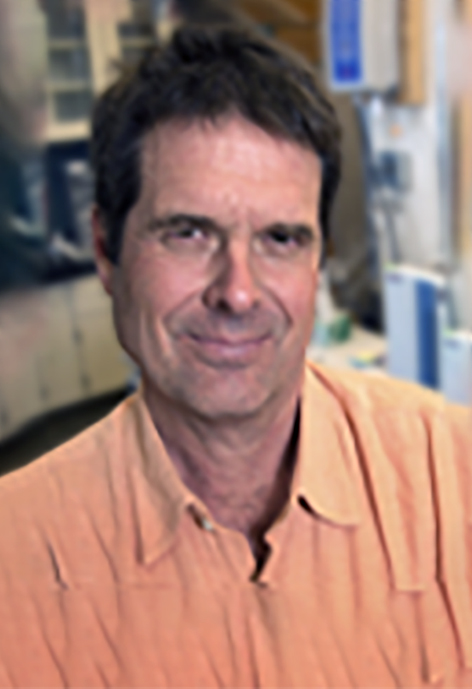 David G. Williams