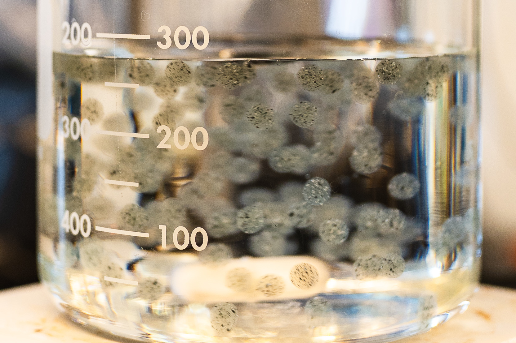 clear and speckled orbs float in clear solution 