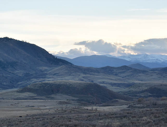 Valley and mountains