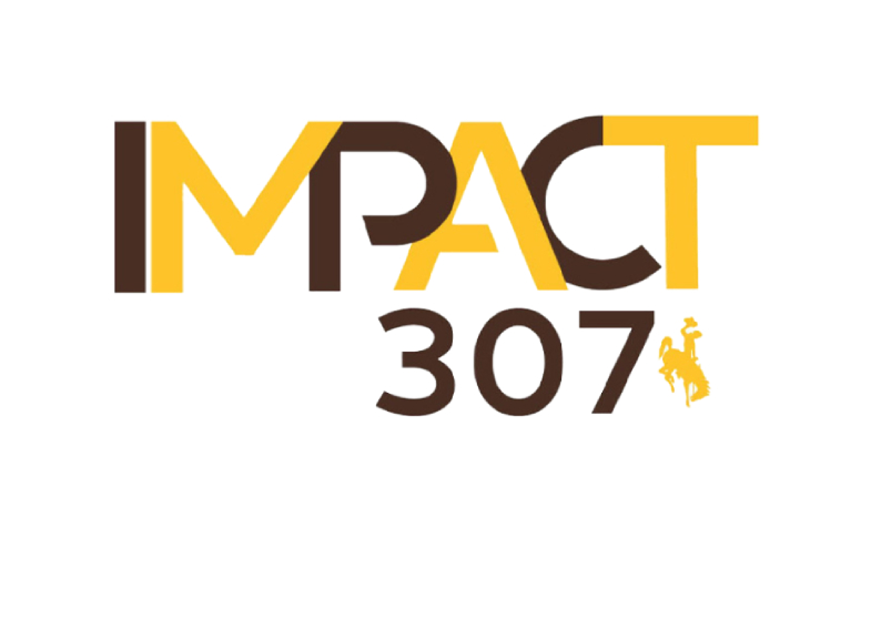 IMPACT 307 Logo