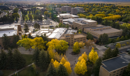 Bird's eye view of campus