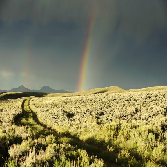 Rainbow over praire 