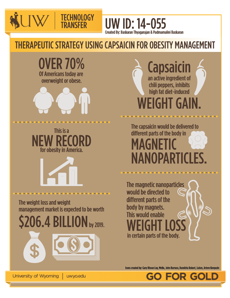 Infographic for technology 14-055. Over 70% of americans today are overweight or obese. This is a new record for obesity in america. The weight loss and weight management market is expected to be worth $206.4 billion by 2019. Capsaicin, an active ingredient of chili peppers, inhibits high fat diet-induced weight gain. The capsaicin would be delivered to different parts of the body in magnetic nanoparticles. The magnetic nanoparticles would be directed to different parts of the body by magnets. This would enable weight loss in certain parts of the body.