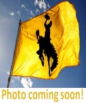 university of wyoming flag photo coming soon