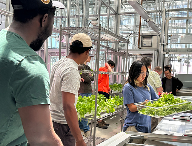 Students in plant facility with trays of plants
