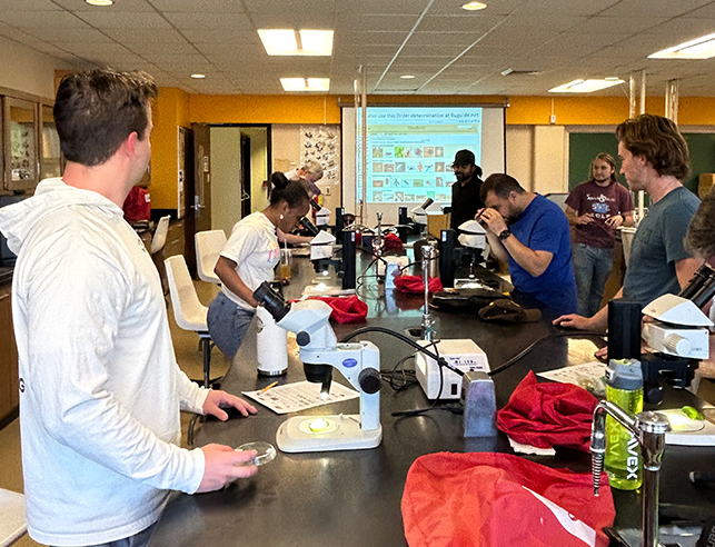Students looking into microscopes with presentation in the background