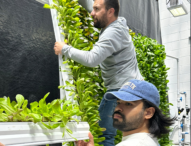 Two men working on a vertical tower of plants