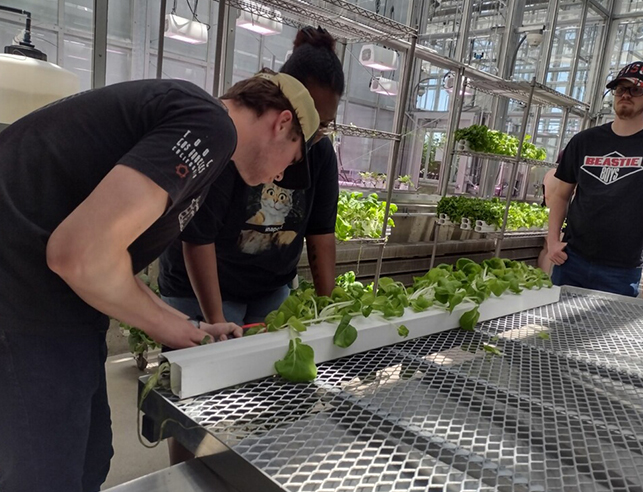 Three students studying plants on in a tube