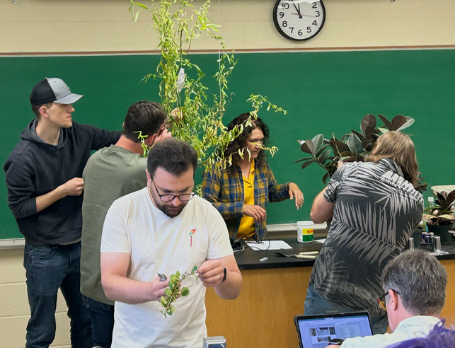 Students studying plants
