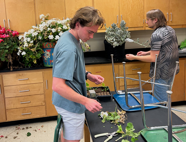 Students looking at plants on tables