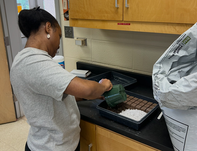 Woman pouring dirt into a tray