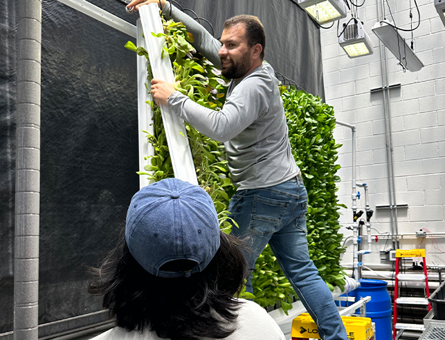 Man working on a vertical tower of plants