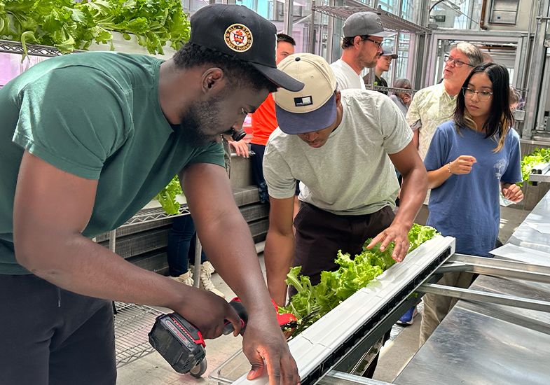 Studetns working at the plant facility using a drill