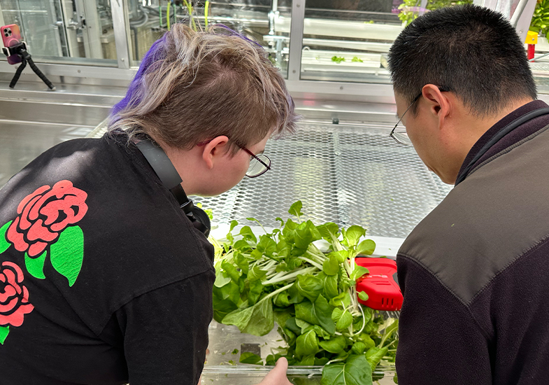Two students looking at plants
