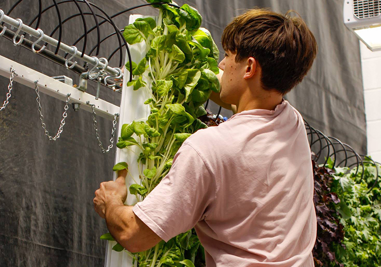 Student working on a vertical growing tower at the plant facility