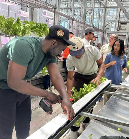Researchers working in the Plant Facility on vertical growing towers