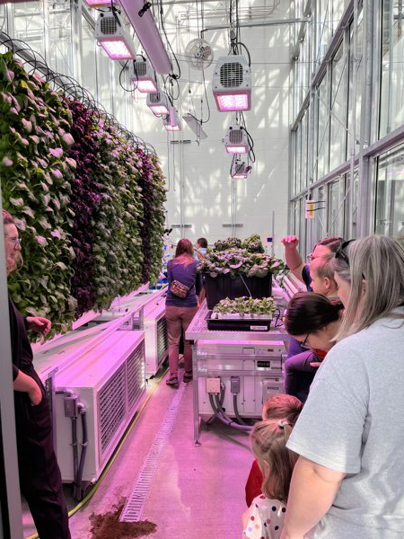 Parents and toddlers looking at vertical growing towers