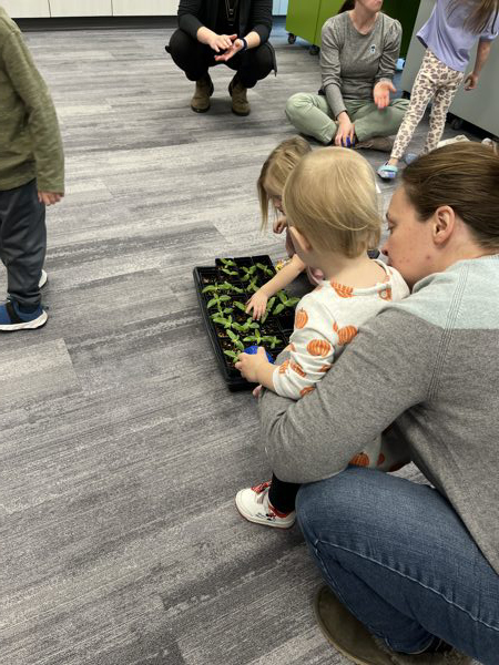 Toddlers looking at plants