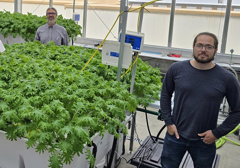 Two researchers next to plants in the CEA 