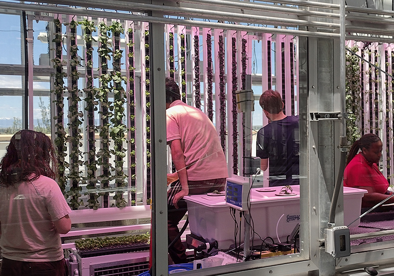 Researchers looking at vertical growing towers behind glass