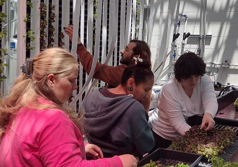 Researchers looking at plants and vertical growing wall