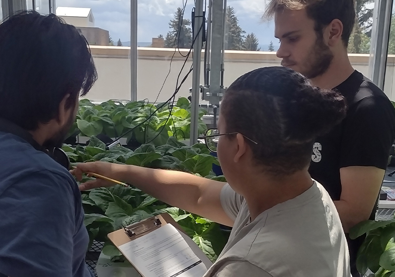 Researcher with clipboard and paper with two other people looking at plants