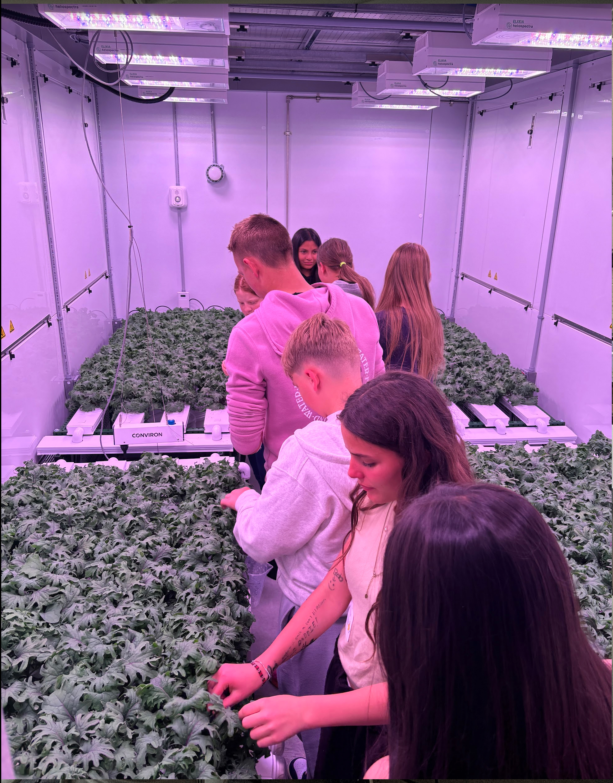 Students looking at plants in growing room