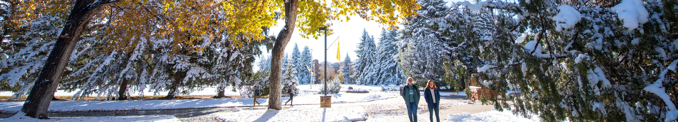 two people walking across campus in the sun