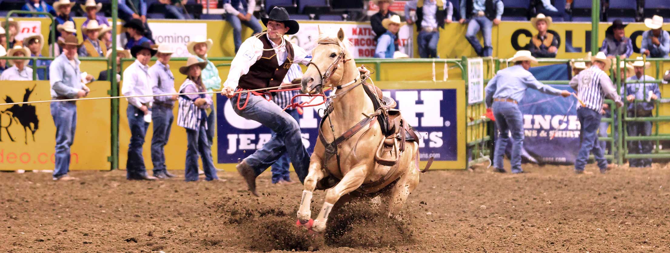 The World Needs More Cowboys with two people riding and roping