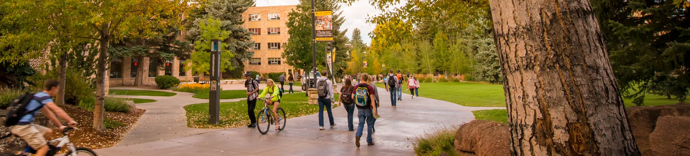 Students walk and bike to class on a fall day