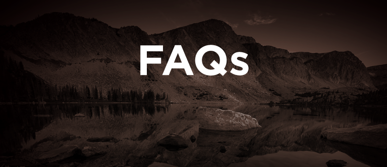 a decorative icon that says FAQs