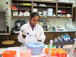 researcher working in a lab