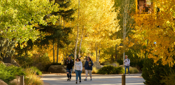 students walking across campus