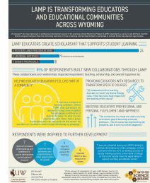 LAMP SoTL survey 2019 report