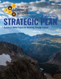SI Strategic Plan 2021-26