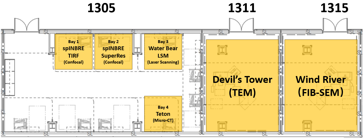 map of Microscopy Suite up close, showing rooms 1305 with its bays, 1311, and 1315