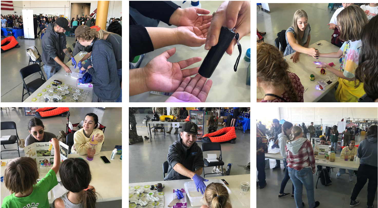 collage of images from Discovery Days
