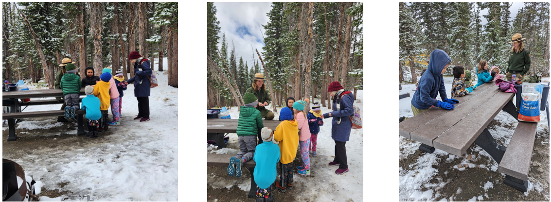 collage of images from Snowy Mountains