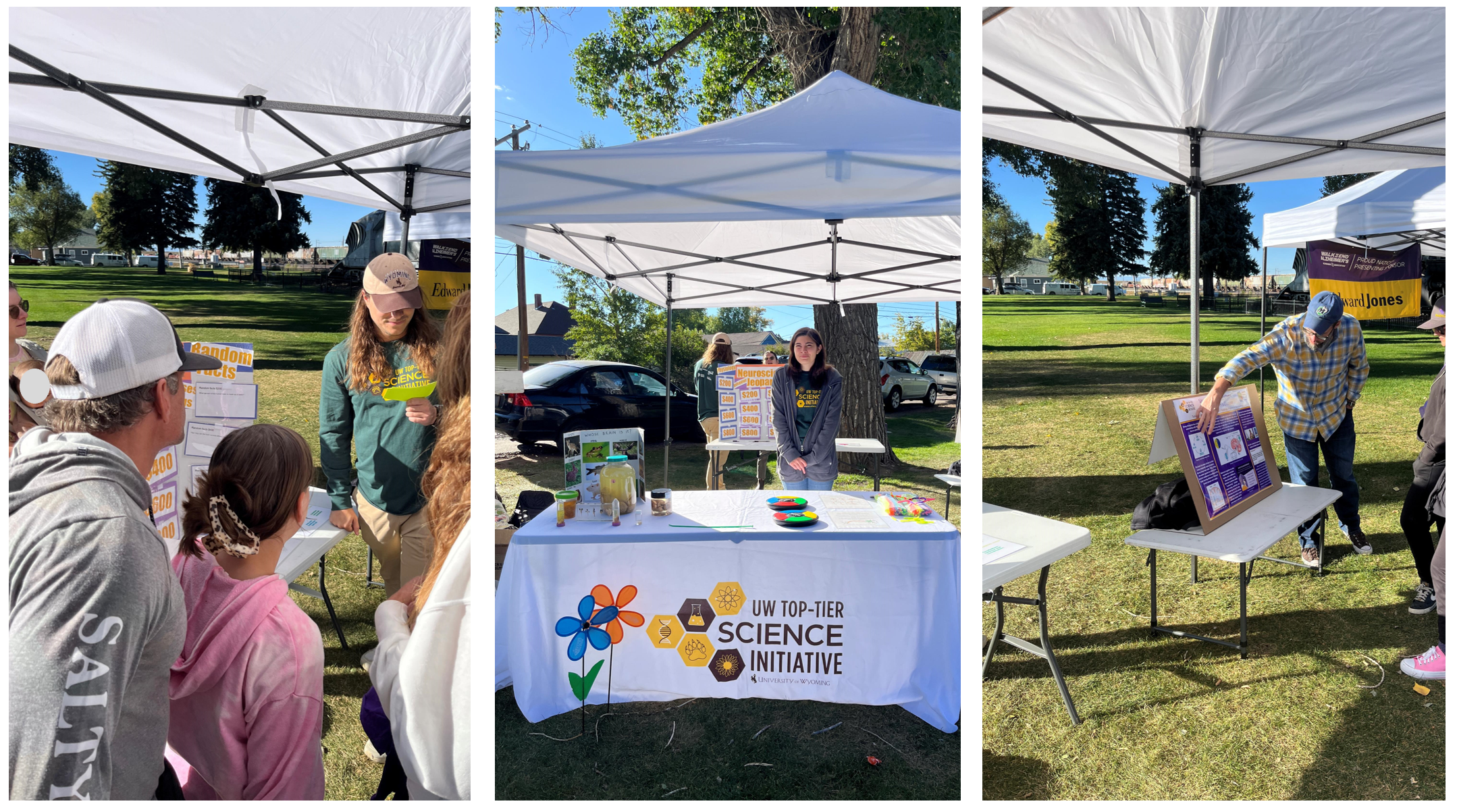 Walk to end Alzheimers Collage