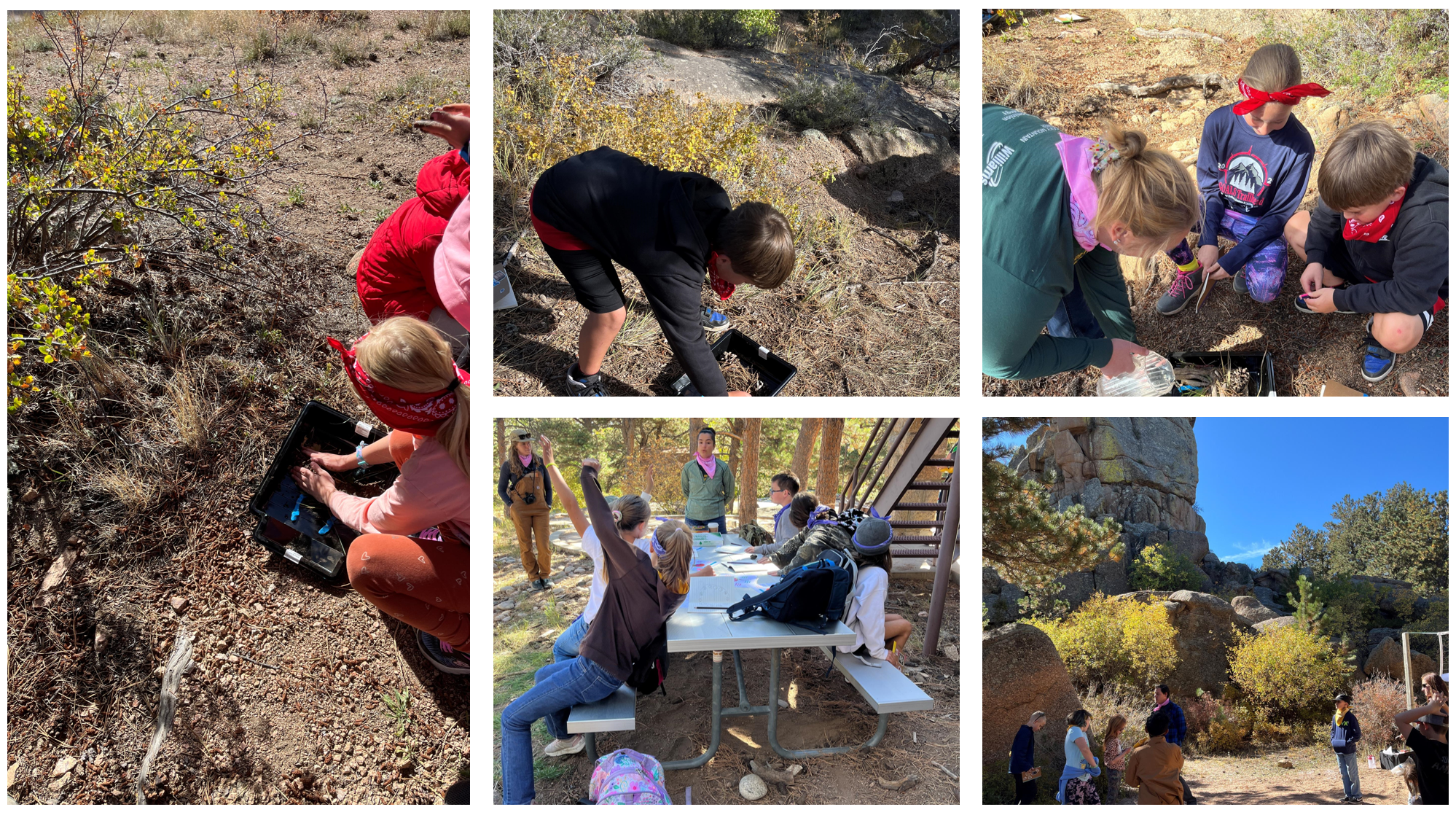Spring Creek Outdoor School Collage