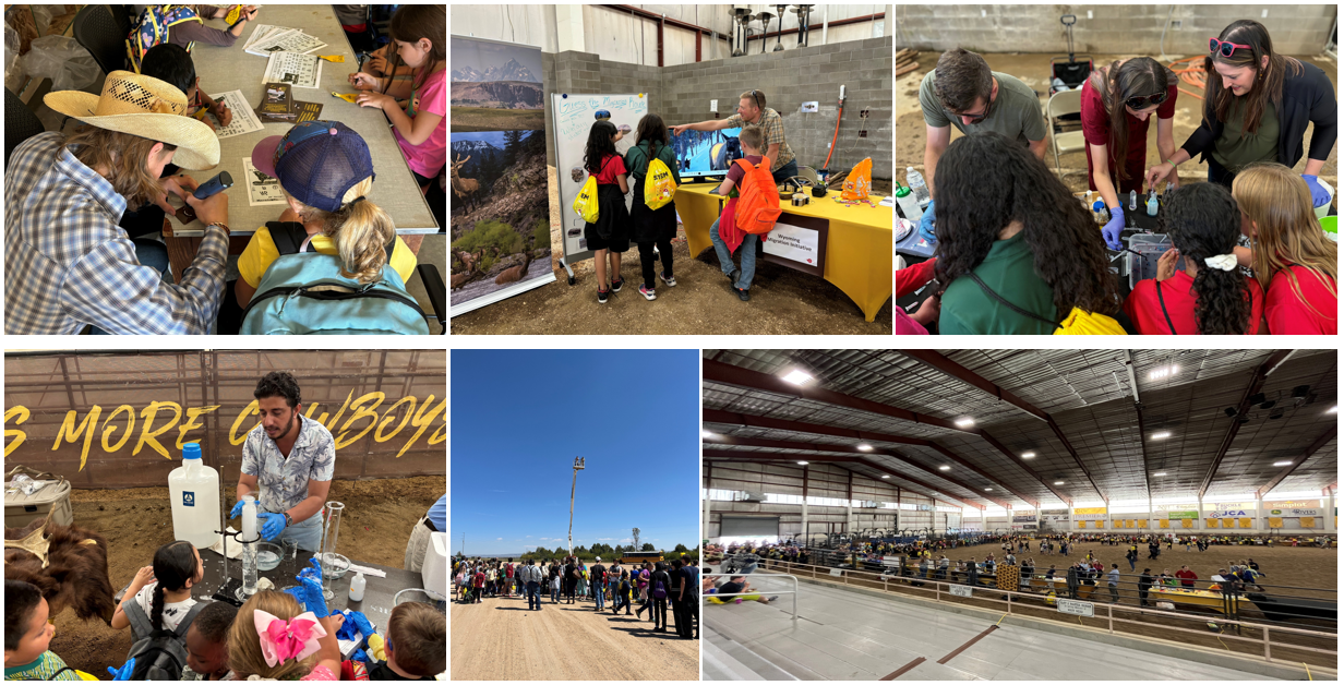 STEM Carnival collage
