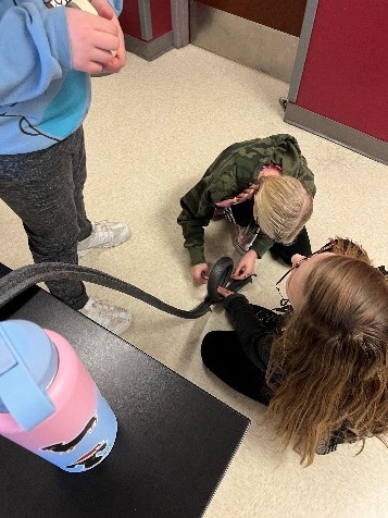 students create loop for roller coaster