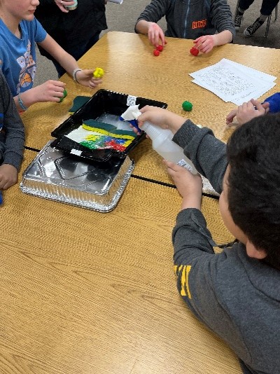 students doing sponge and wetland activity