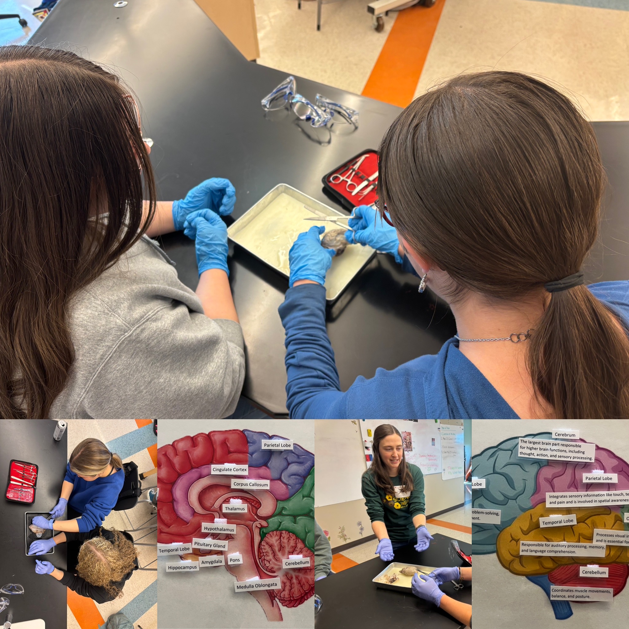 laramie high school psychology