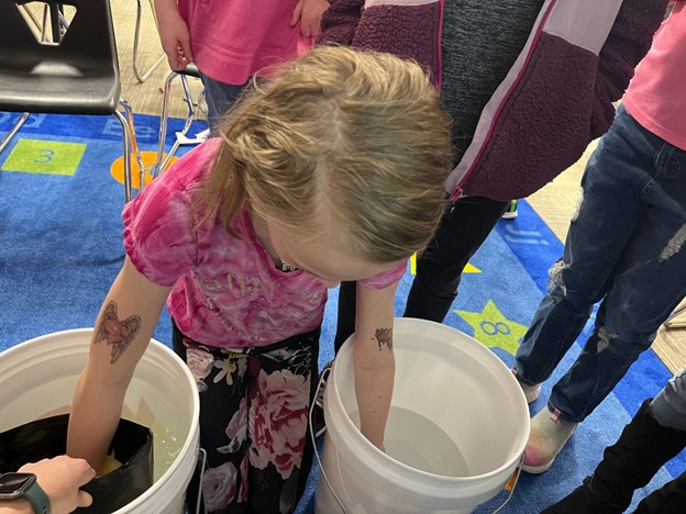 blubber activity