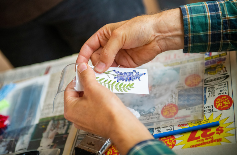 a pressed flower and other items for a STEM activity