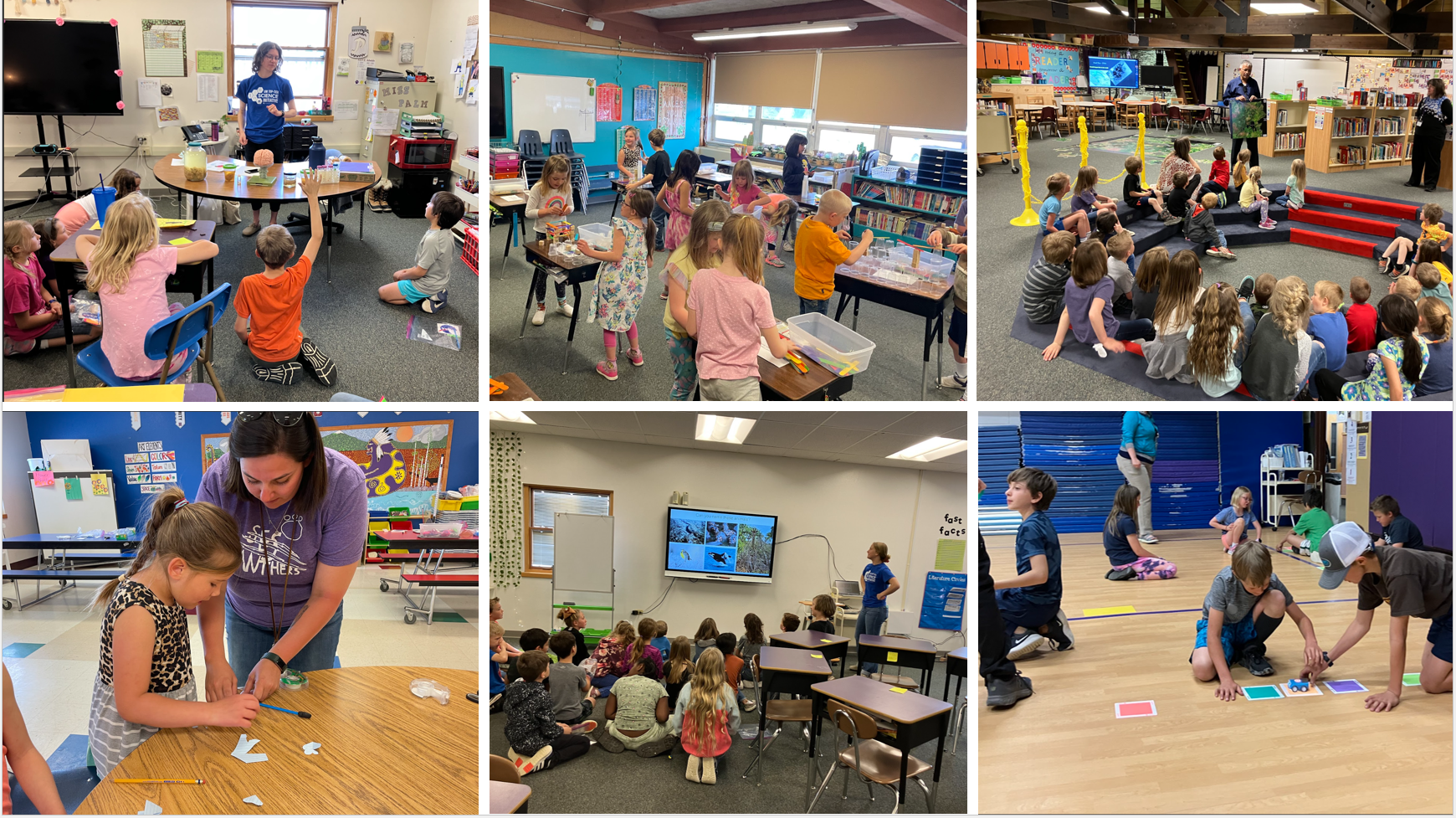 a collage of different activities in the STEM day, including activities on neuroscience, animal adaptations and basic computational thinking